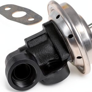 EVERESTWAY Metal EGR Valve Replacement-0